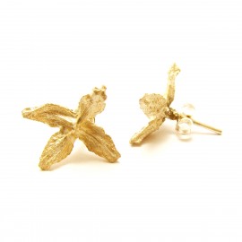 Golden Star Flowers Earrings